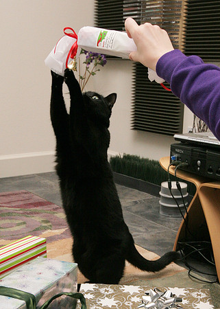 IMG13324.jpg