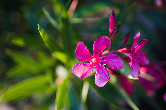 WP7K1378.3-01.jpg
