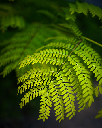 WP7K1390.3-01.jpg