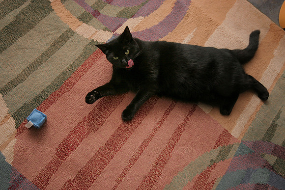 IMG13380.jpg