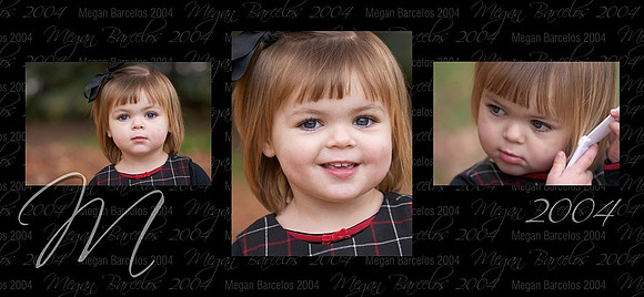 Triptych-Megan.jpg